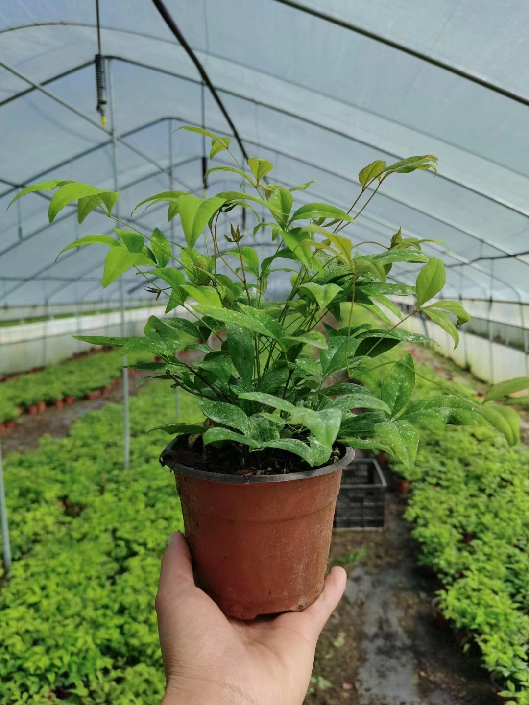 5682b51ccff82afc7c32a1a5fc8ad8c 5682b51ccff82afc7c32a1a5fc8ad8c